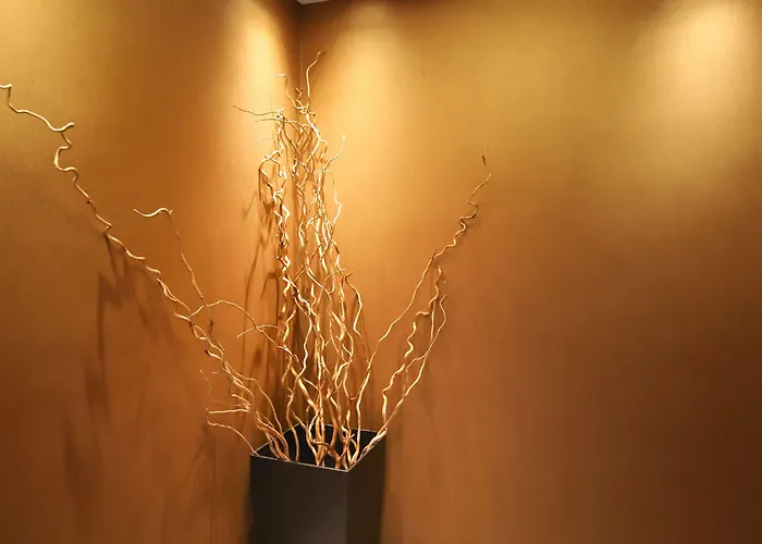 拉蒂努姆酒店 酒店